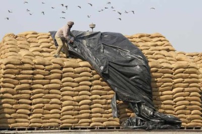 A worker uses a plastic sheet to cover sacks of rice at a wholesale grain market in the northern Indian city of Chandigarh February 9, 2012. A payment problem over Indian rice exports to Iran will "unlock itself" once the trade settlement mechan