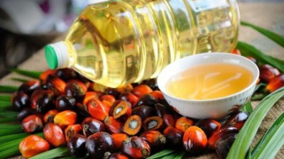 Indonesia mulls palm oil levies increase to support biodiesel plans