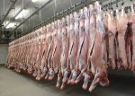 واردات گوشت