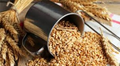 Turkey purchased the planned volume of grain at a tender