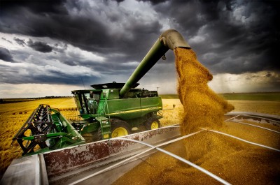 Fears for the harvest of Russian grain in 2021 already exist today - expert