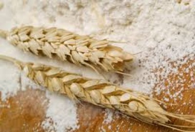 In 2 years, Kyrgyzstan plans to achieve full self-sufficiency in wheat