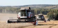 Deficit of grain carriers grows in Siberia