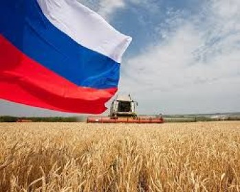Vedomosti: Russia may abandon grain export quotas